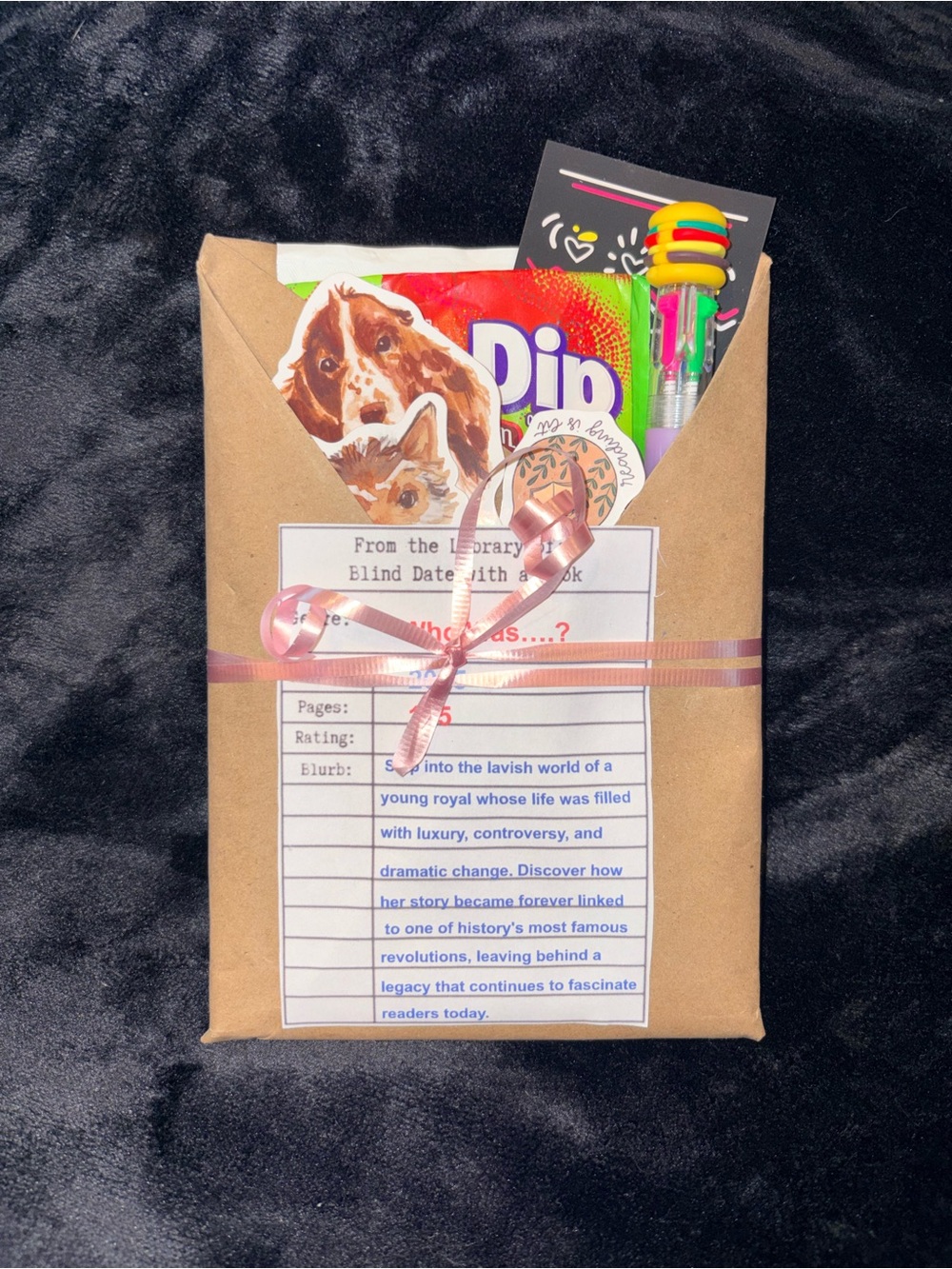 Blind bag mystery book. Teacher curated. Who Was Series.